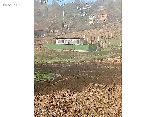 KOCAELİ DERİNCE GEREDELİ   KÖYÜNDE TARLANIN 218   M²  Sİ  SATILIKTIR - KOCAELİ DERİNCE fotoğraf 3