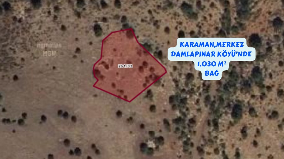 KARAMAN MERKEZ DAMLAPINAR KÖYÜNDE 1.030 M² BAĞIMIZ SATILIKTIR. - KARAMAN MERKEZ fotoğraf 2