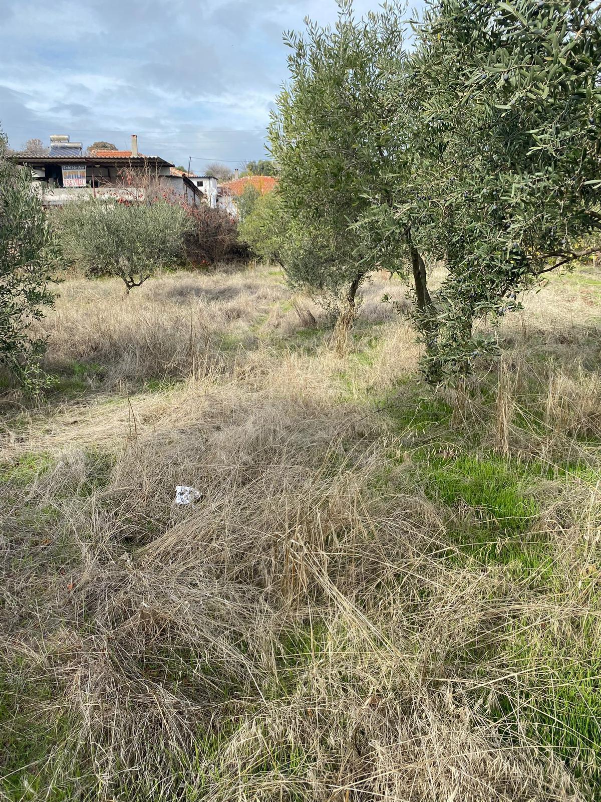 SATILIK 300m2 İmarlı Arsa MANİSA YunusEmre /Karakılıçlı Mah. - MANİSA YUNUSEMRE fotoğraf 3