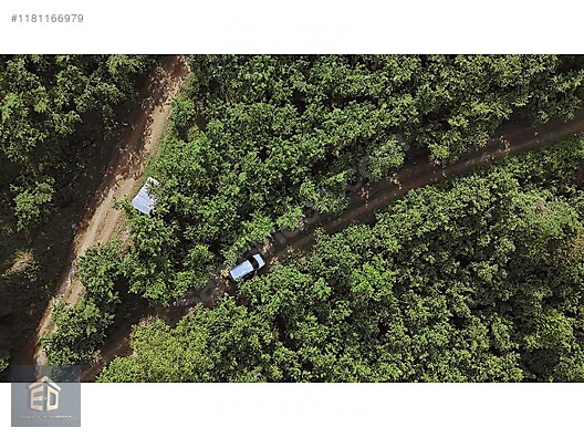 YOMRA GÜLYURDUN'DA SATILIK 6.298M2 ARSA - TRABZON YOMRA fotoğraf 9