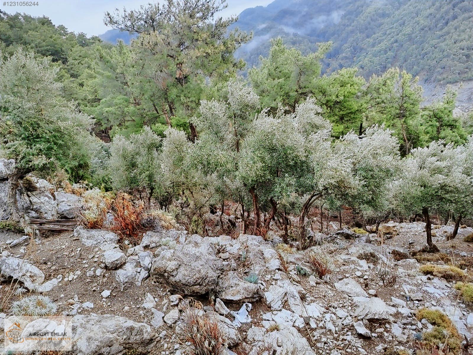 AIRPORT EMLAKTAN KÖYCEĞİZ AKKÖPRÜ BARAJI MANZARALI SATILIK TARLA - MUĞLA KÖYCEĞİZ fotoğraf 5