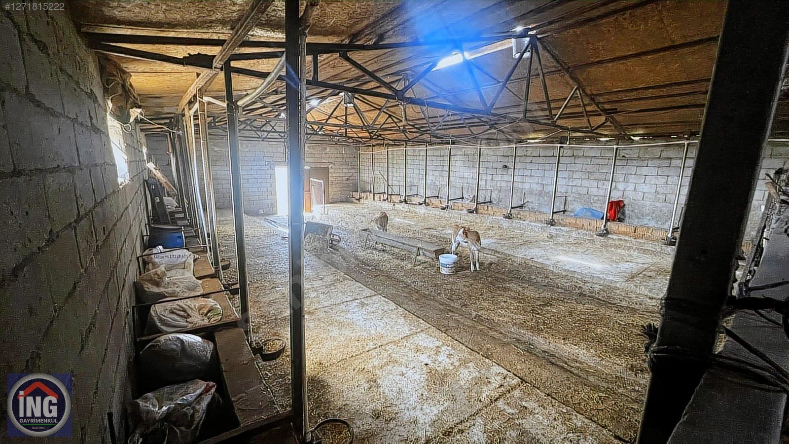 KIRKLARELİ YÜNDALAN'DA HAZIR KURULU RUHSATLI 18 DÖNÜM ÇİFTLİK - KIRKLARELİ MERKEZ fotoğraf 16