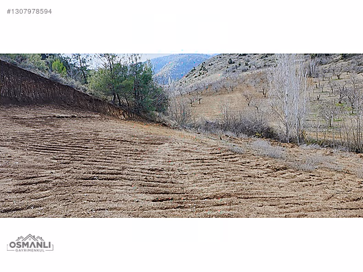 KÜRE KÖYÜNE 5 DK MESAFEDE İÇİ DÜZELTİLMİŞ 1.450 M2 SATILIK ARAZİ - BİLECİK SÖĞÜT fotoğraf 3