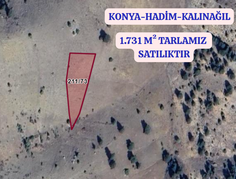 KONYA HADİM KALINAĞIL KÖYÜNDE 1.713 M² TARLA SATILIKTIR - KONYA HADİM fotoğraf 2