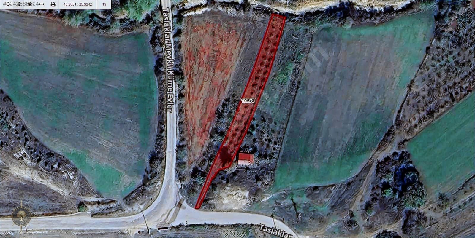 ASFALT YOLA CEPHE HOBİ BAHÇELİK KAÇIRILMAYACAK HARİKA FINDIKLIK - KOCAELİ KANDIRA fotoğraf 3