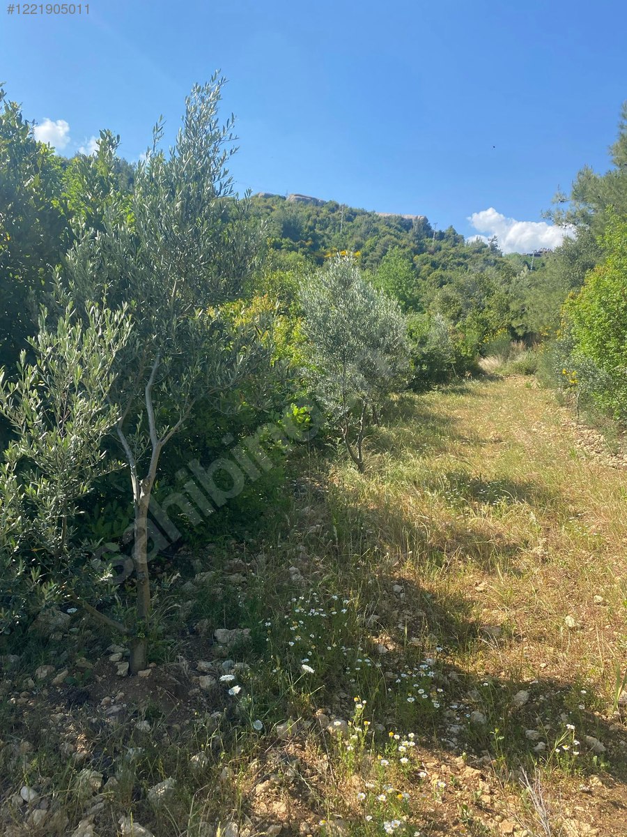 İmarlı İfrazlı Parsel 524 M² Hatay / Samandağ / Yaylıca Mh. - HATAY SAMANDAĞ fotoğraf 11