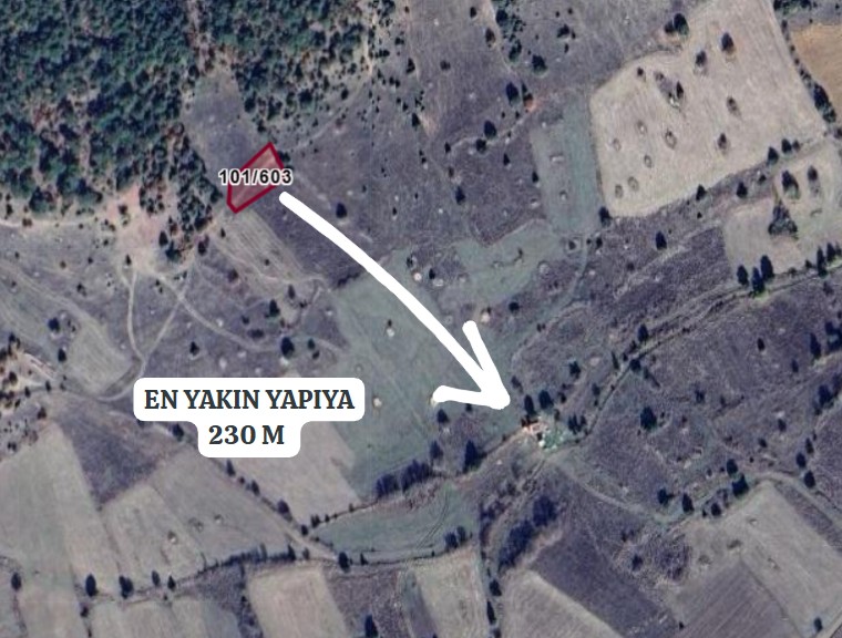 Fotoğraf