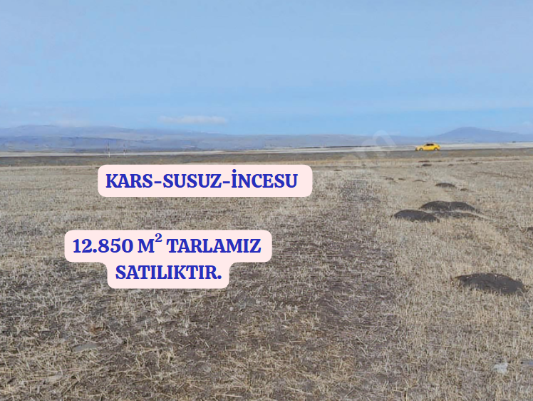 İlan Resmi