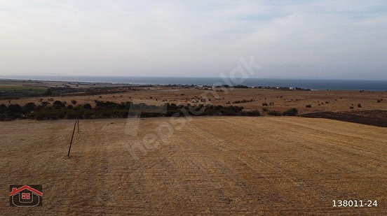Uçar Emlak'tan Balıkesir/Gönen'in Popüler Köyünde Deniz Manzaralı 2.600 m² Tarla - BALIKESİR GÖNEN fotoğraf 2