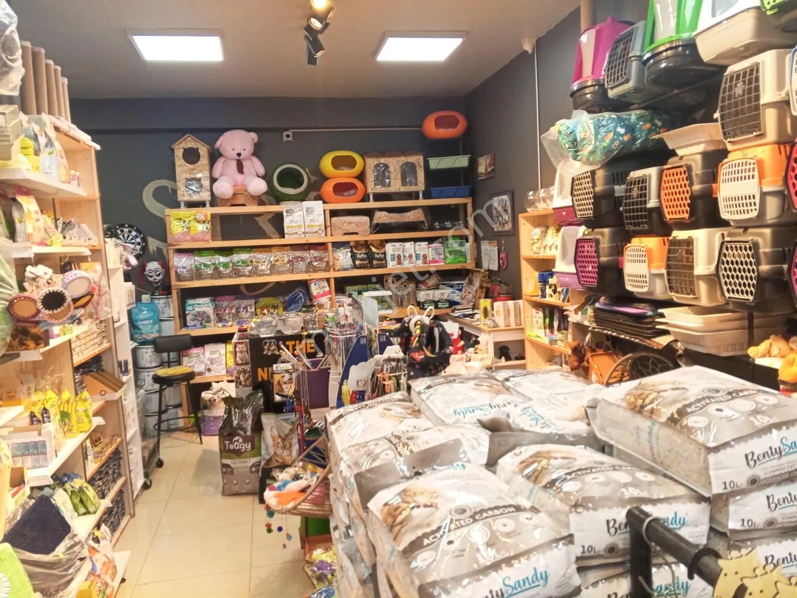 Devren Satılık Yüksek Cirolu Petshop - KOCAELİ KÖRFEZ fotoğraf 13