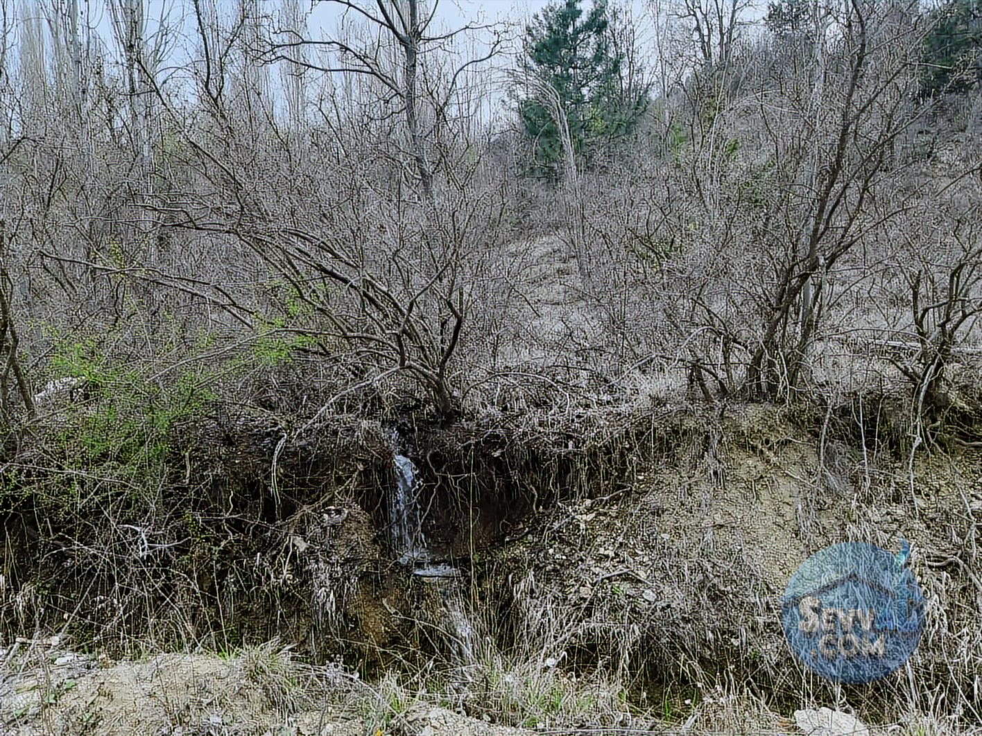 ASYA EVİM EMLAKTAN AĞLASUN YEŞİLBAŞKÖY DE SATILIK TARLA - Burdur Ağlasun fotoğraf 11