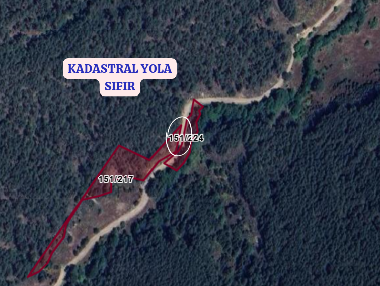 BALIKESİR DURSUNBEY ALAÇAM  KÖYÜNDE 1.502 M² TARLA SATILIKTIR - BALIKESİR DURSUNBEY fotoğraf 3