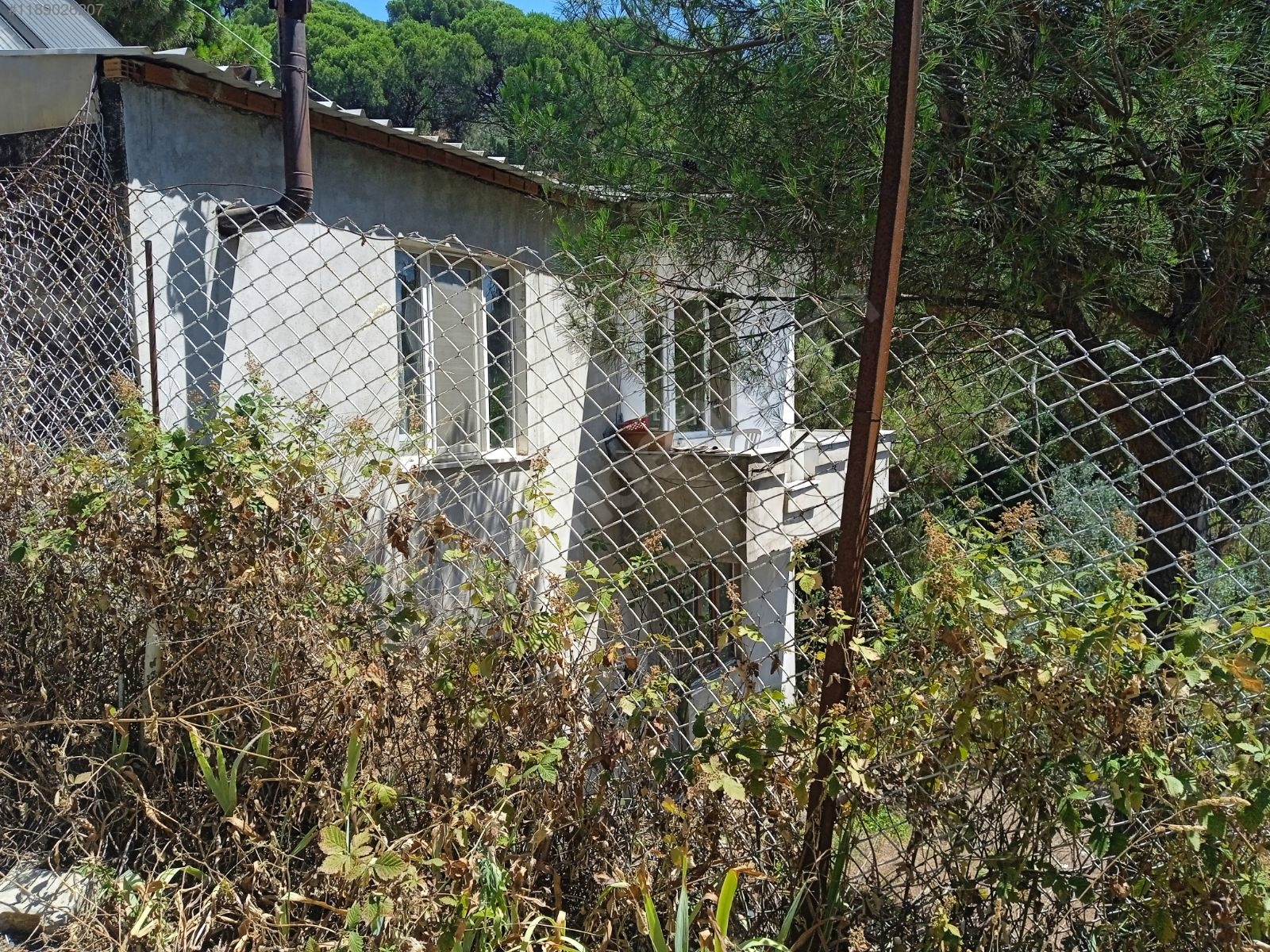 satılık 1.5 dönüm arsa 2 katlı ev doğa içinde deniz manzaralı - BURSA GEMLİK fotoğraf 7