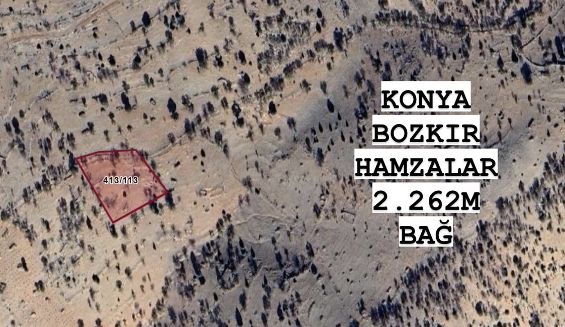 KONYA BOZKIR HAMZALAR KÖYÜNDE 2.262M² BAĞIMIZ SATILIKTIR. - KONYA BOZKIR fotoğraf 3