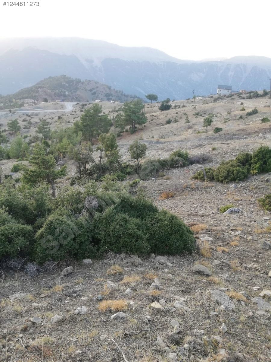 Antalya / Kumluca / Kuzca Mahallesinde 513 m² SATILIK ARSA  - ANTALYA KUMLUCA fotoğraf 9