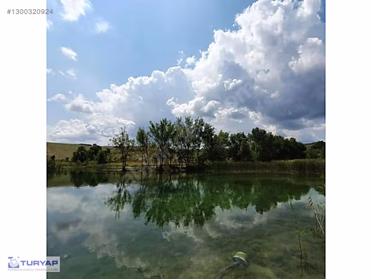 Derince Geredeli Satılık Tarla 5.930 m² (Sevindik Yakını) - KOCAELİ DERİNCE fotoğraf 20