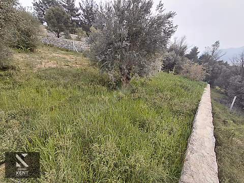 Kemalpaşa Yenmiş'de Satılık Bahçe 406 m2 - İZMİR KEMALPAŞA fotoğraf 12