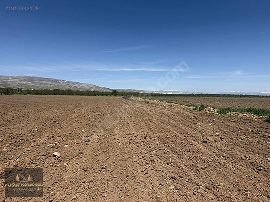 AKÇADAĞ BAHRİ İKİ AYRI TAPULU SATILIK SULU TARLA - MALATYA AKÇADAĞ fotoğraf 11