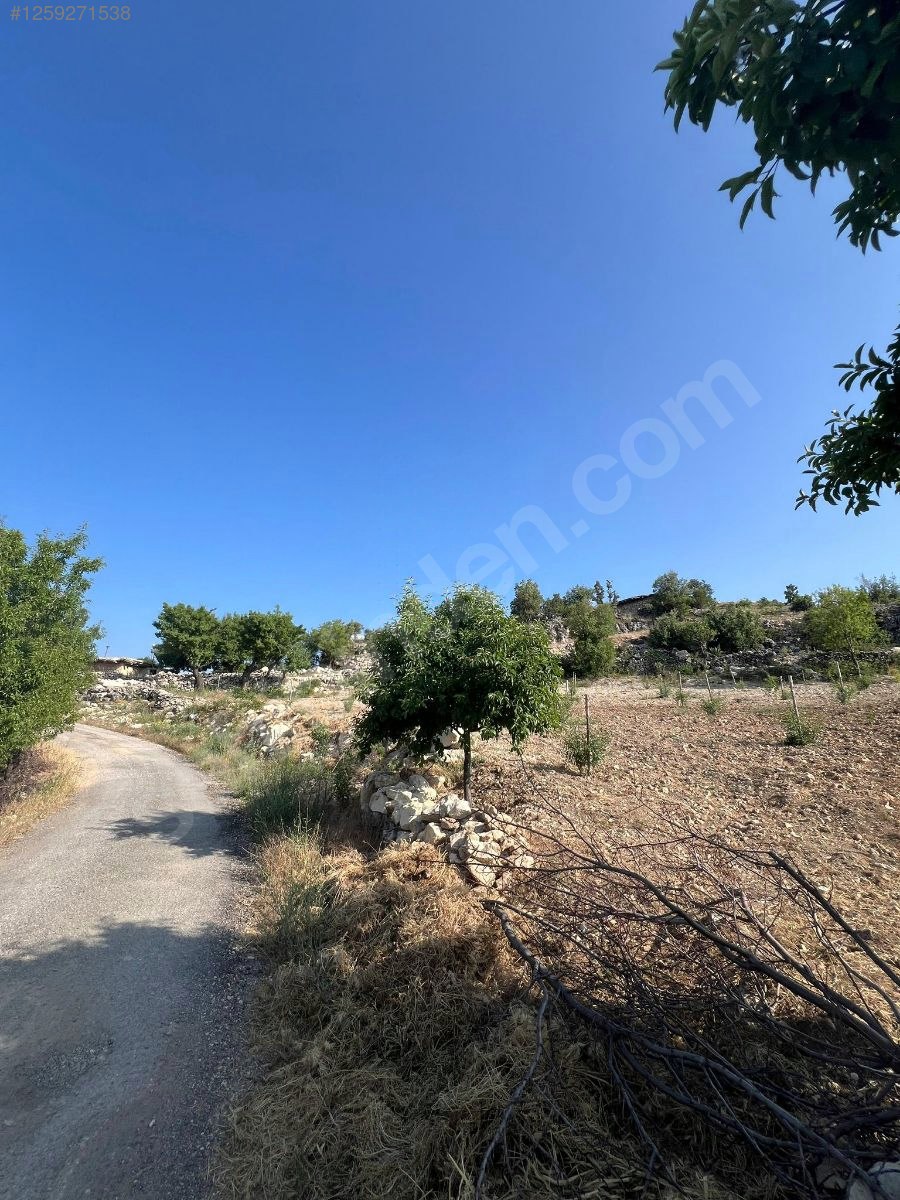   Mersin / Gülnar / Göktürk Mh. 1295 M² BADEM BAHÇESİ SATILIKTIR.   - MERSİN GÜLNAR fotoğraf 4