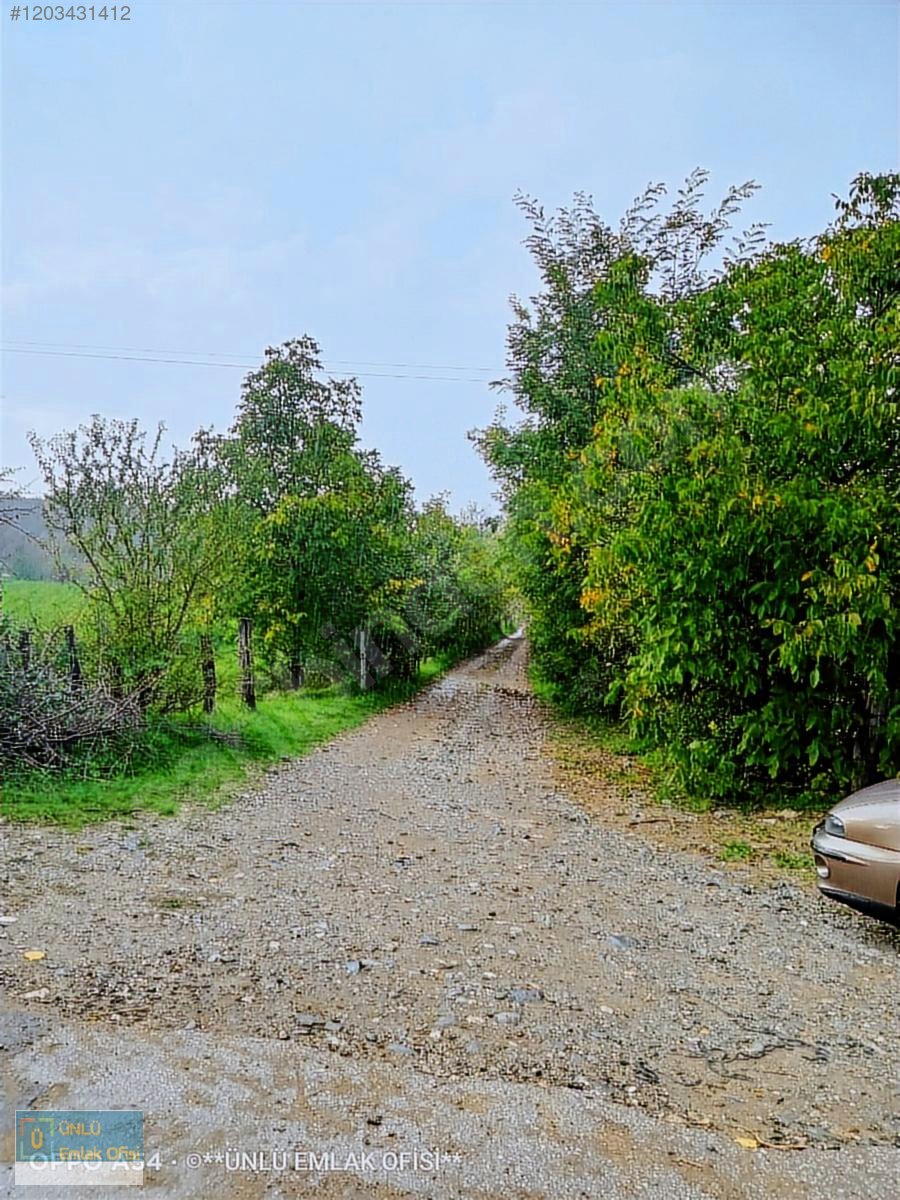ÜNLÜ EMLAKTAN ESKİ TAŞKÖPRÜ YOLUNDA 6PARSEL YAPILABİLİR FIRSAT - KASTAMONU MERKEZ fotoğraf 38