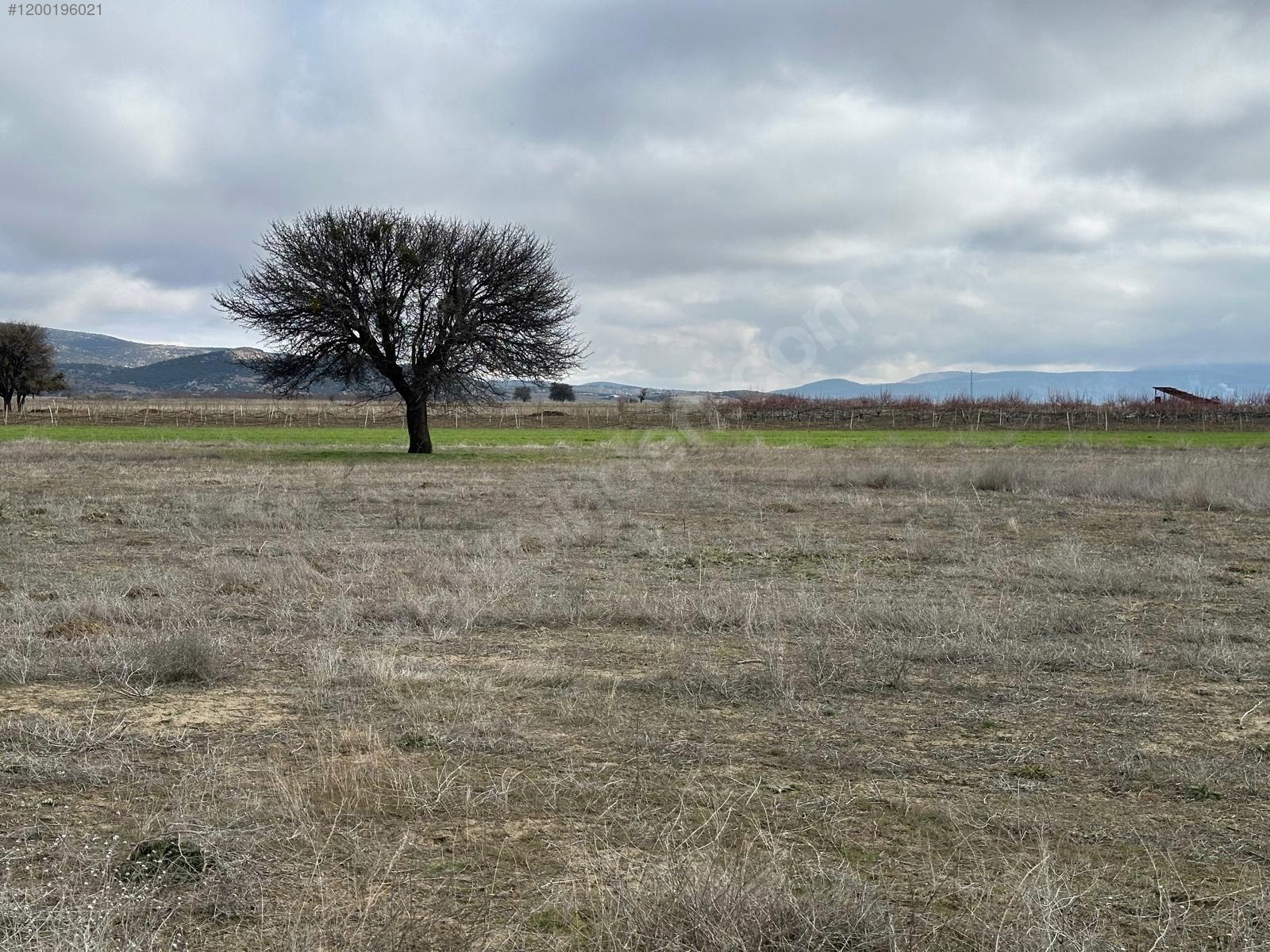 ISPARTA KEÇİBORLU'DA AFYON YOLUNA 400 METRE MESAFEDE UYGUN ARSA - ISPARTA KEÇİBORLU fotoğraf 15