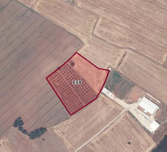 BURSA KARACABEY ARIZ KÖYÜNDE 14.250 M² TARLA SATILIKTIR - BURSA KARACABEY fotoğraf 6