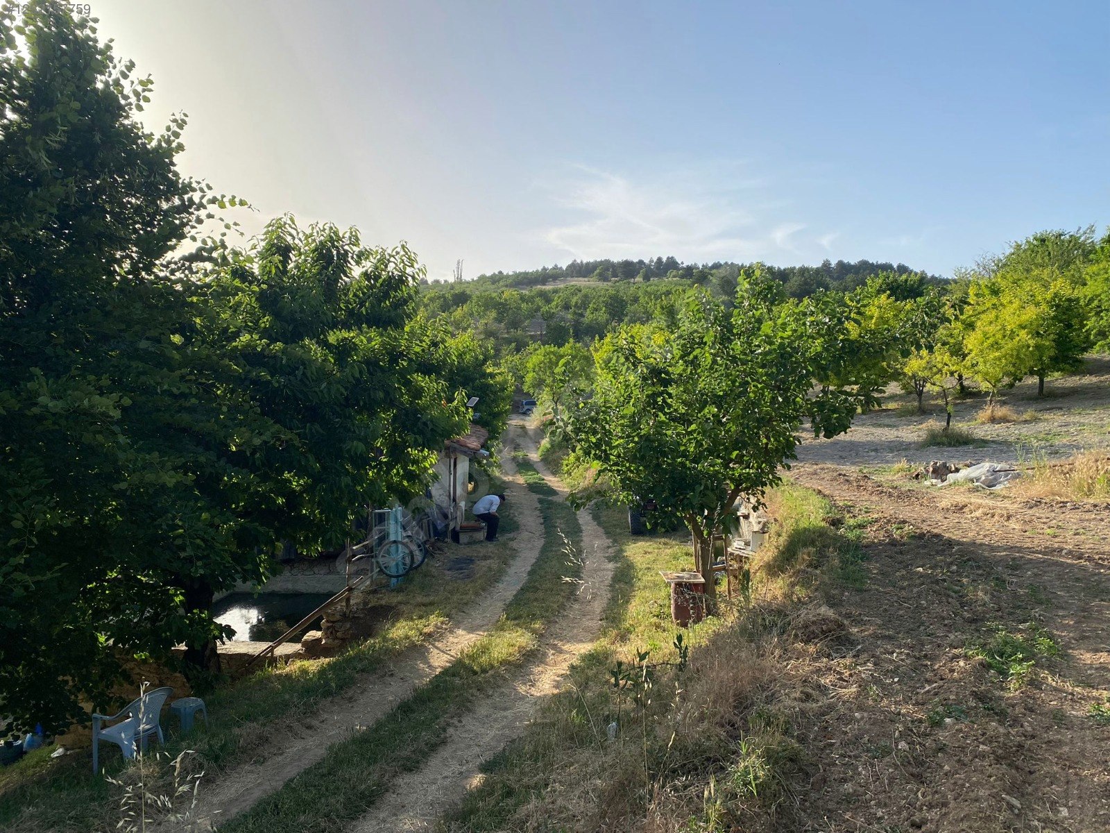 BURSA KELEŞ BELENÖREN'DE 11.691  M² BAHÇE SATILIKTIR - BURSA KELES fotoğraf 13