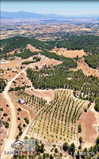ŞAHİN EMLAKTAN DENİZLİ ACIPAYAM YUKARI MAH.5 TAPULU TOPLAM 16.362 M2 KURULU DÜZE - DENİZLİ ACIPAYAM fotoğraf 2