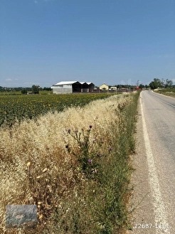 LÜLEBURGAZ İLÇESİ AHMETBEY BELDESİNDE ANA YOLA CEPHELİ ARAZİ - KIRKLARELİ LÜLEBURGAZ fotoğraf 6