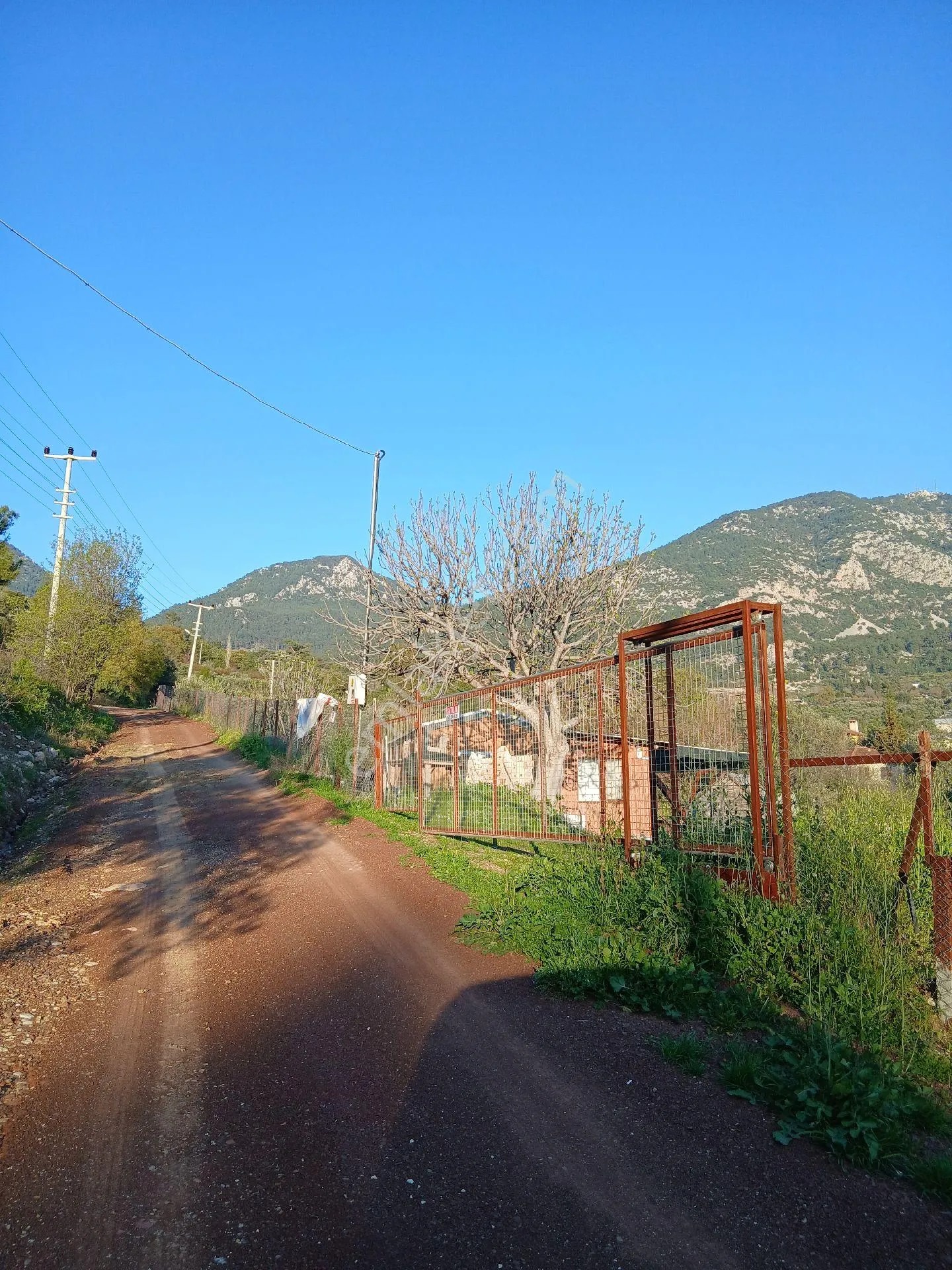 Erentepe Mahallesi Satılık Bahçe - ANTALYA KUMLUCA fotoğraf 11