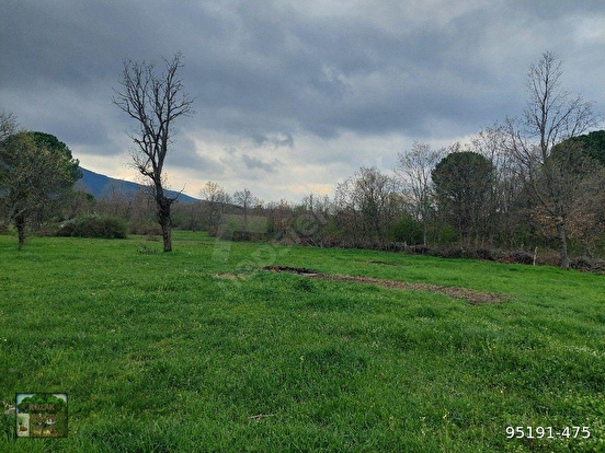 İZMİR BERGAMA KOZAK YAYLASI YUKARIBEY MAH DE 17600M2 TARLA % 5 TARIM İMARLI - İZMİR BERGAMA fotoğraf 9