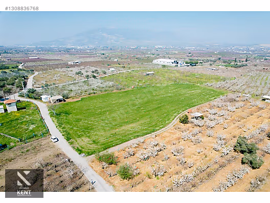 Kemalpaşa Ören 75. Yıl Satılık 8770 m2 Tek Tapu Tarla - İZMİR KEMALPAŞA fotoğraf 13