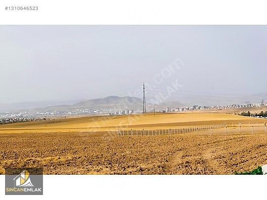ALAGÖZ MAH KONUT İMAR PLAN İCERİSİNDE 300M2 EV ELK SU VAR !!!! - ANKARA SİNCAN fotoğraf 14