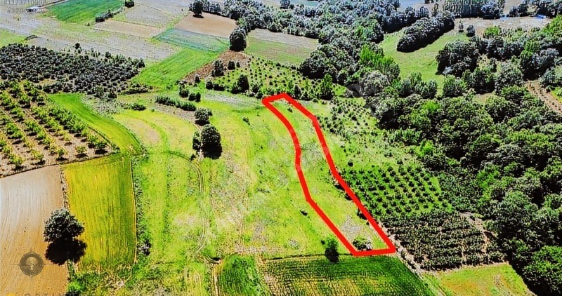 KÖYÜN DİBİNDE 2,351m2 EKSTRA UYGUN KAÇIRILMAYACAK FIRSAT TARLA - KOCAELİ İZMİT fotoğraf 6