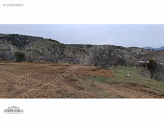 TELEFON FİYATINA ARAZİ VERİYORUZ, 409 M2,RESMİ YOLU VE SUYU VAR! - BİLECİK SÖĞÜT fotoğraf 6
