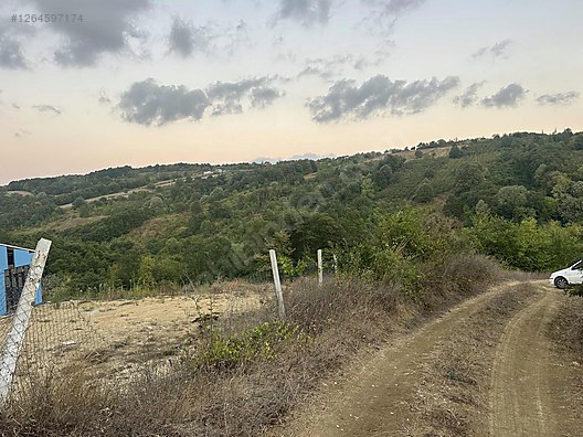 KOCAELİ İZMİT ZEYTİNBURNU   MAHALLESİNDE 5.409 M²  TARLA  SATILIKTIR - KOCAELİ İZMİT fotoğraf 13