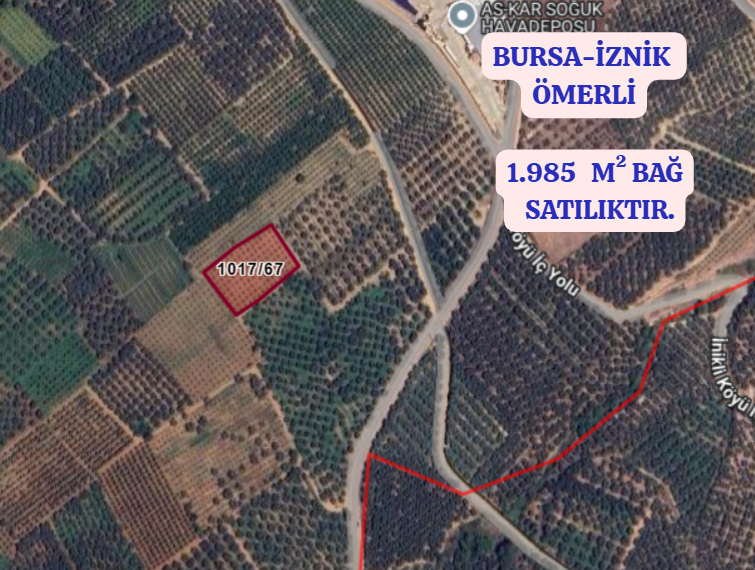 BURSA İZNİK ÖMERLİ KÖYÜNDE 1.985  M² BAĞ SATILIKTIR - BURSA İZNİK fotoğraf 2