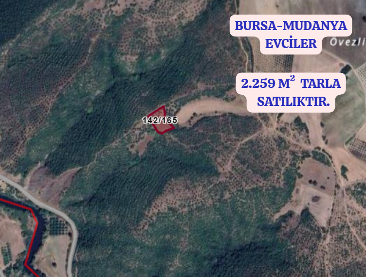 BURSA MUDANYA EVCİLER KÖYÜNDE 2.259 M²  TARLA SATILIKTIR - BURSA MUDANYA fotoğraf 2