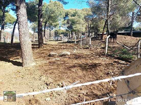 BERGAMA KOZAK YAYLASI YUKARIBEY MAH DE 950 m2 FISTIKLIK - İZMİR BERGAMA fotoğraf 6