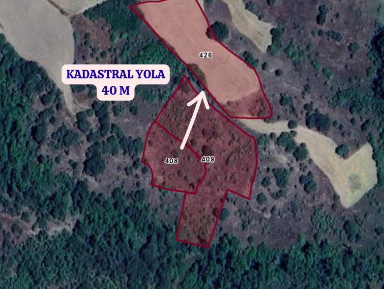 ÇORUM ALACA İMAT   KÖYÜNDE 1.800  M²  BAĞ  SATILIKTIR - ÇORUM ALACA fotoğraf 3