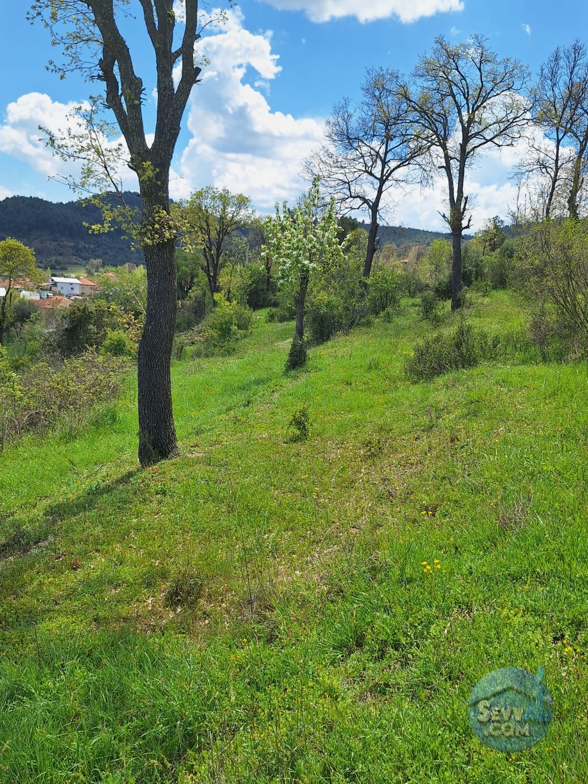 BURDUR AĞLASUN KİBRİT KÖYÜNDE SATILIK KERPİÇ EV VE TARLA - Burdur Ağlasun fotoğraf 5
