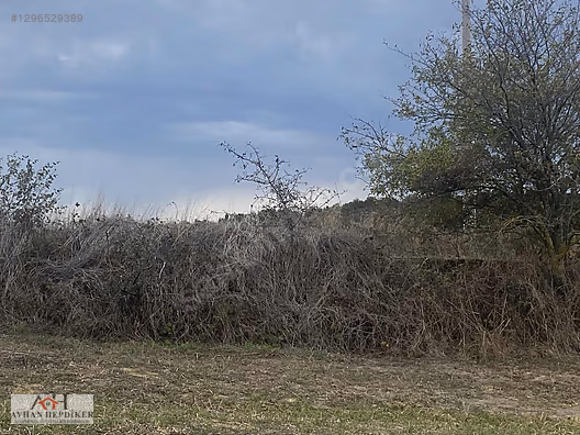 KOCAELİ ARAMAN DA ADAPAZARI KANDIRA YOLUNA CEPHELİ 3506 M2 TARLA - KOCAELİ KANDIRA fotoğraf 27