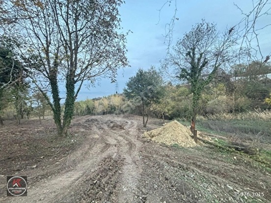 KARAMÜRSEL DEREKÖY’DE 19.309 M² KONUT ALANLI, TARIMSAL KULLANIMA UYGUN YATIRIM A - KOCAELİ KARAMÜRSEL fotoğraf 5