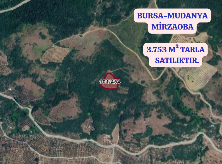 BURSA MUDANYA MİRZAOBA KÖYÜNDE 3.753 M TARLA SATILIKTIR - BURSA MUDANYA fotoğraf 2