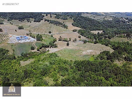 ALTINOVA ÖRENCİKTE 6982 M2 YOLA 66 M YATIRIMA UYGUN MÜSTAKİL - YALOVA ALTINOVA fotoğraf 20