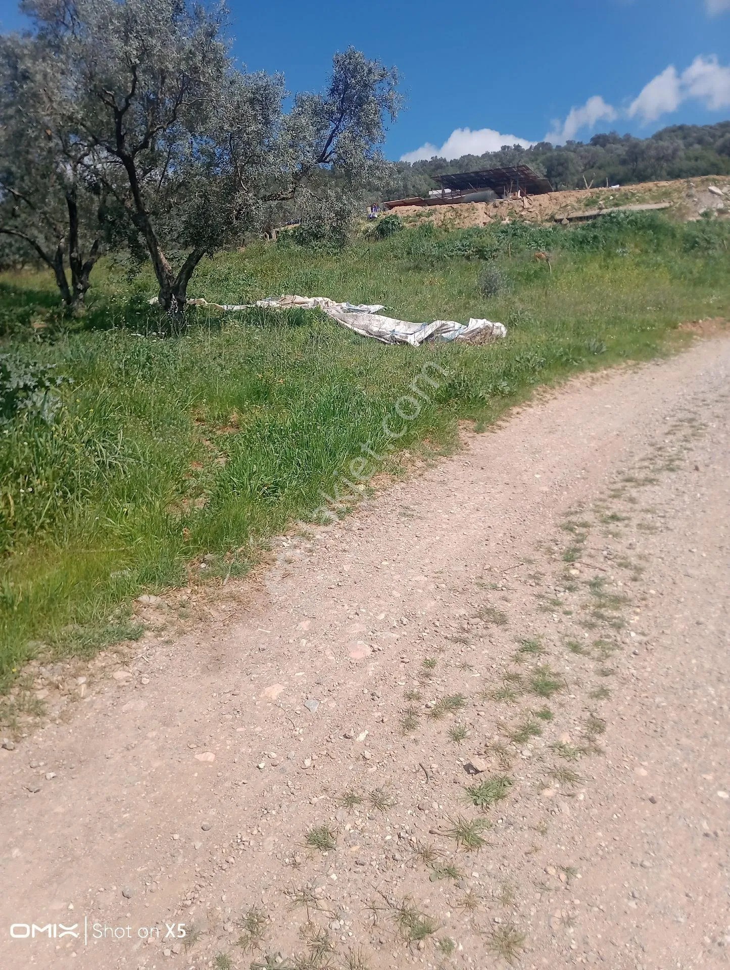 İzmir Torbalı Kuşburun Mahallesi'nde 436m2 Arsa Satılık - İZMİR TORBALI fotoğraf 7