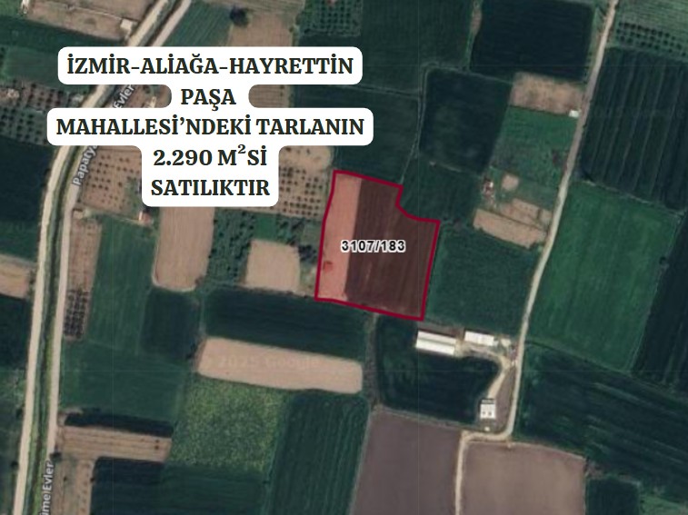 İZMİR-ALİAĞA-HAYRETTİN PAŞA  MAHALLESİ’NDEKİ TARLANIN 2.290 M²Sİ SATILIKTIR - İZMİR ALİAĞA fotoğraf 2