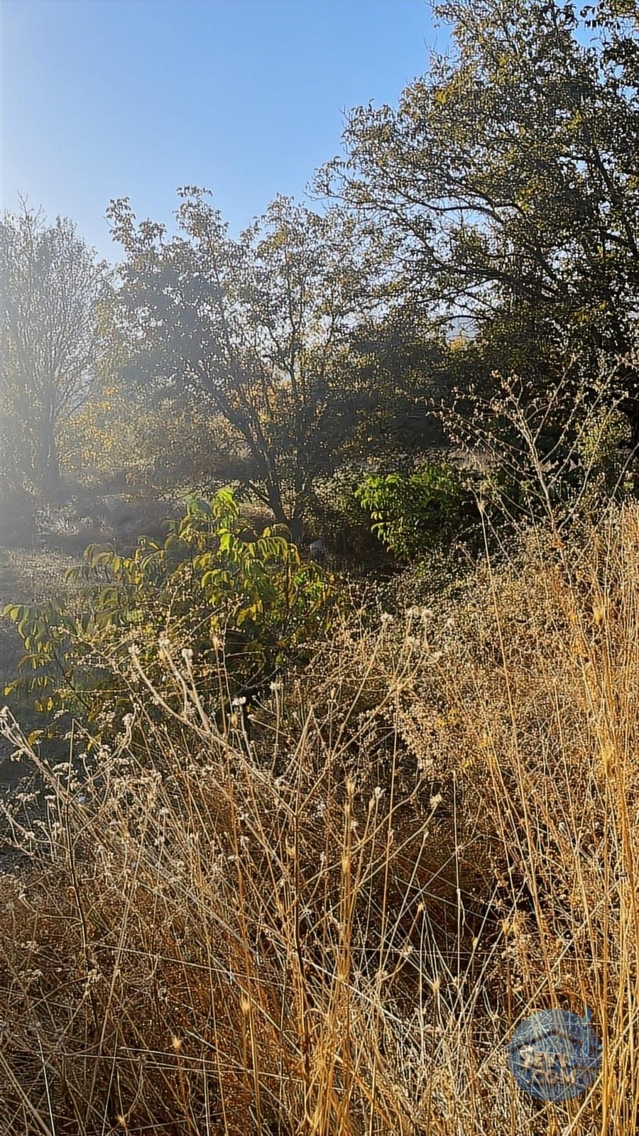 ASYA EVİM GAYRİMENKULDEN SAKARCA MAH.SATILIK ARAZİ - Burdur Ağlasun fotoğraf 17