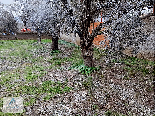 Atlantik gayrimenkul den satılık imarlı arsa - İZMİR ÖDEMİŞ fotoğraf 3