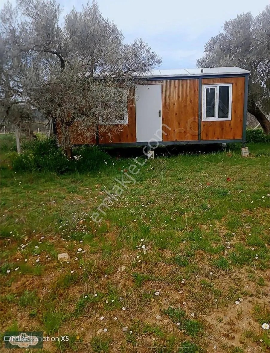 İzmir Torbalı Helvacı Köyünde 260m2 Ata Toprağı Satılık - İZMİR TORBALI fotoğraf 5